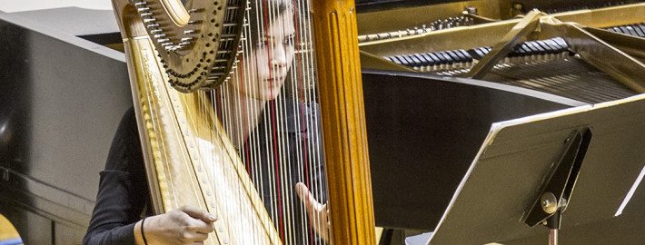 uwmusic-120613-8749Harp
